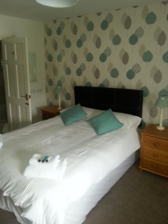 Red Lion Hotel Ystrad Meurig Rum bild