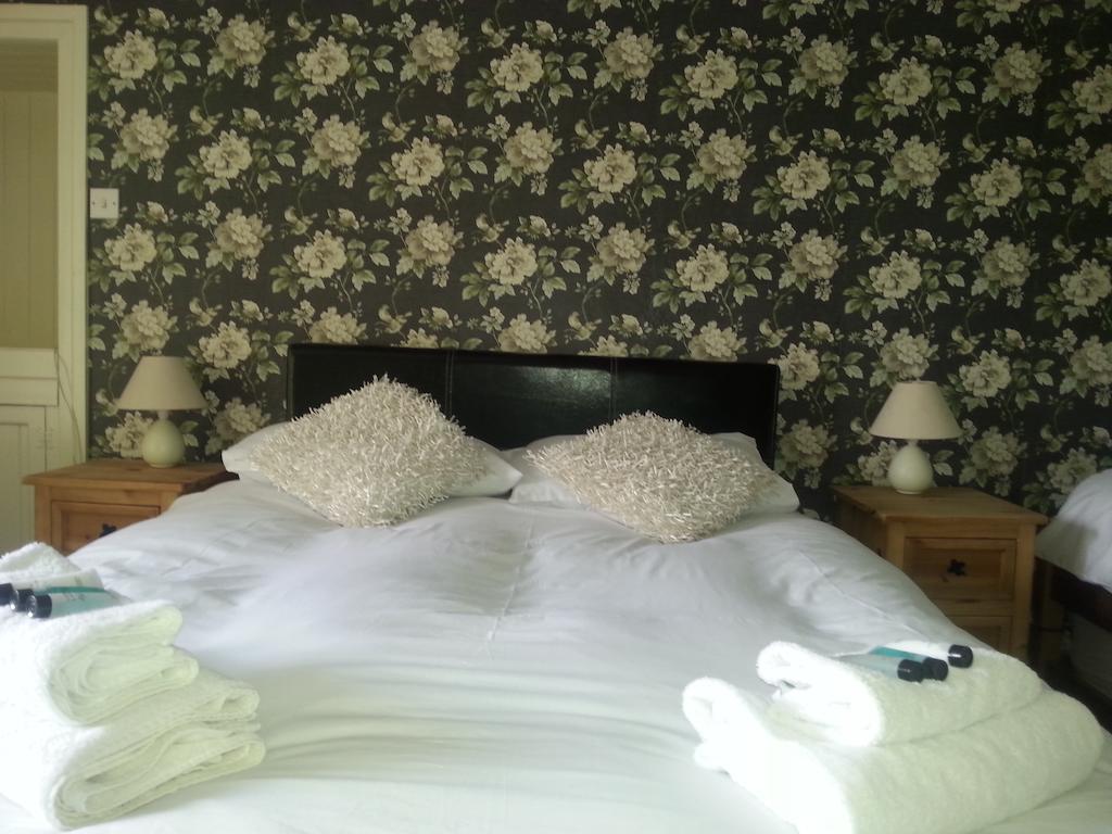 Red Lion Hotel Ystrad Meurig Rum bild